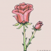 百合花儿童简笔画法,百合花儿童画怎么画