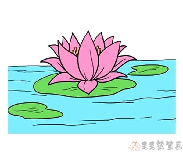 儿童简笔画荷花彩色图片