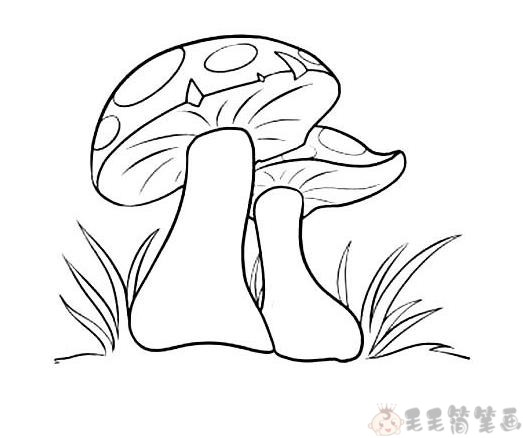 常见水果蔬菜简笔画图片