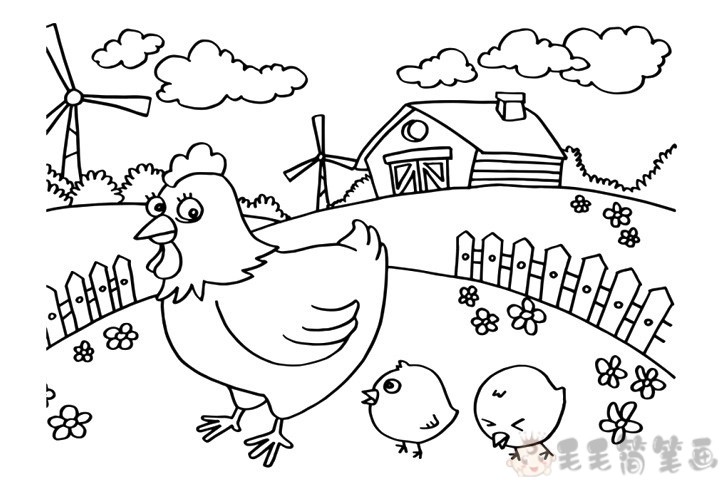 农场里的母鸡和小鸡简笔画图片