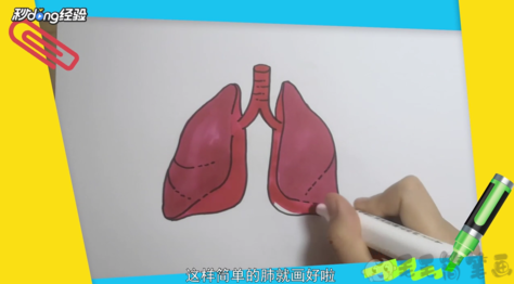 健康的肺怎么画,健康的肺儿童画
