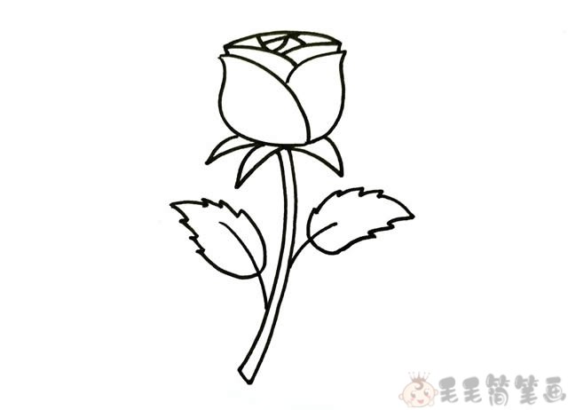 儿童简笔画玫瑰花教学步骤