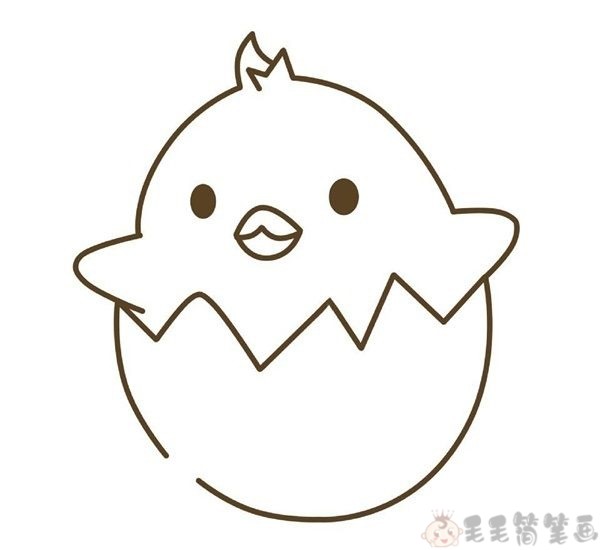 刚出生的小鸡简笔画