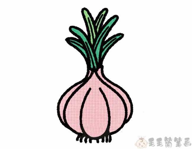 简单好看的大蒜简笔画