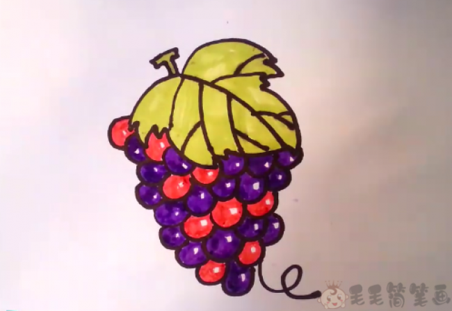 一串葡萄彩色简笔画画法步骤如下