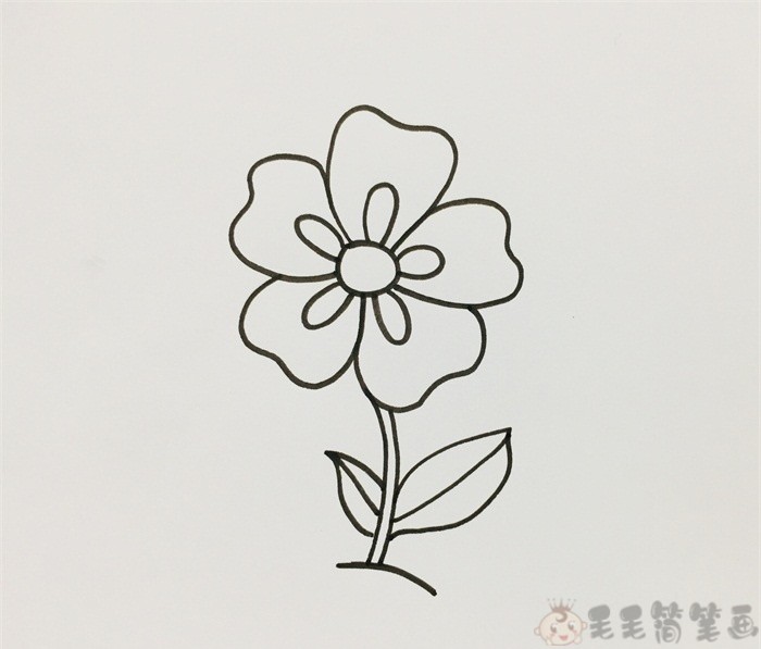 简单的彩色花朵简笔画