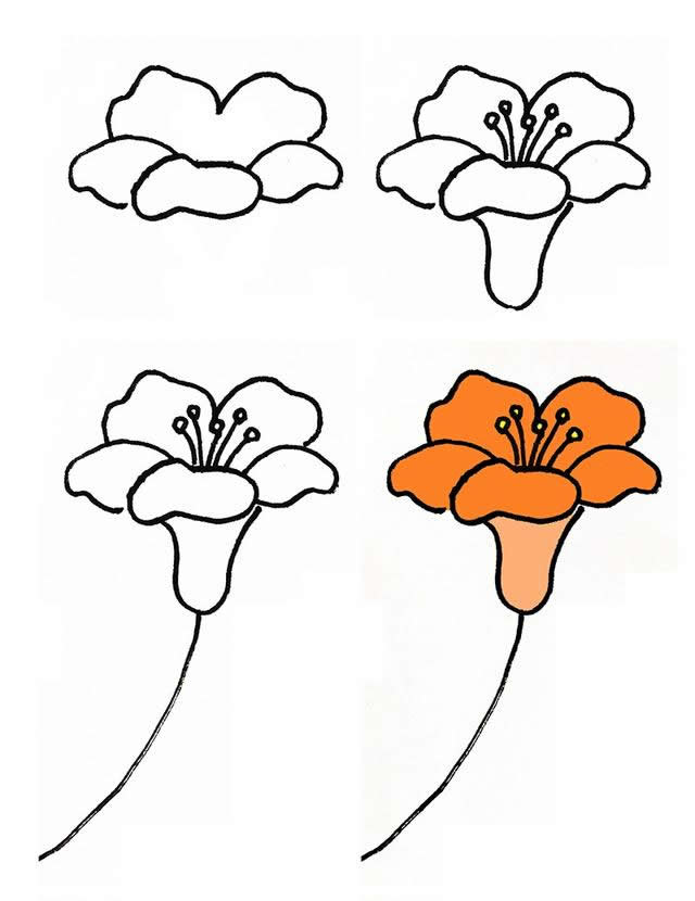 漂亮的花朵简笔画素材随着步骤画简单几笔就能画出来