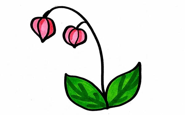 灯笼草简笔画步骤画法图片教程_灯笼草怎么画
