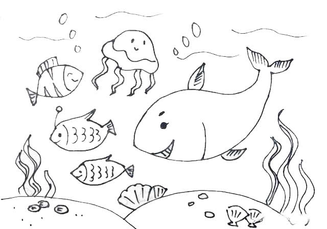 海洋主题《海底世界》  1.首先我们先画出