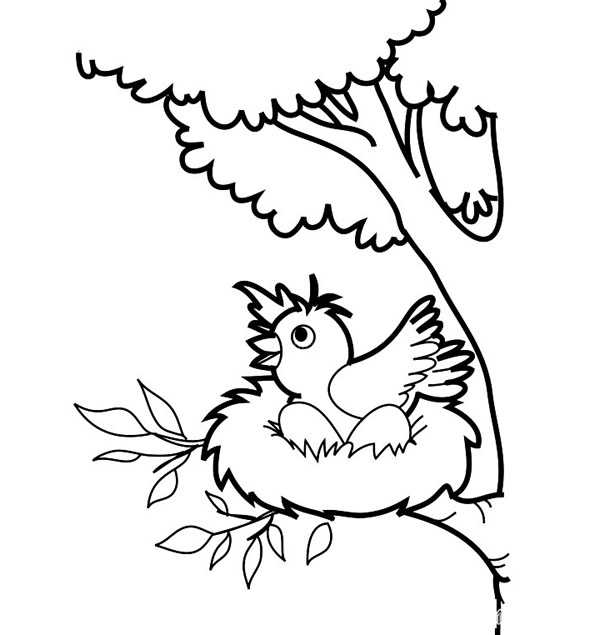 站在树枝上的小鸟简笔画画法