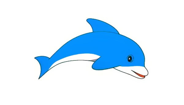 一步步教你画可爱的海豚简笔画步骤图解教程
