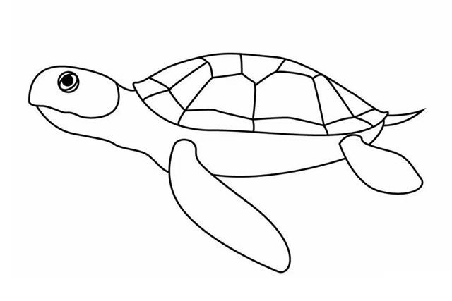 海龟简笔画画法步骤七:最后让我们给海龟上色吧!