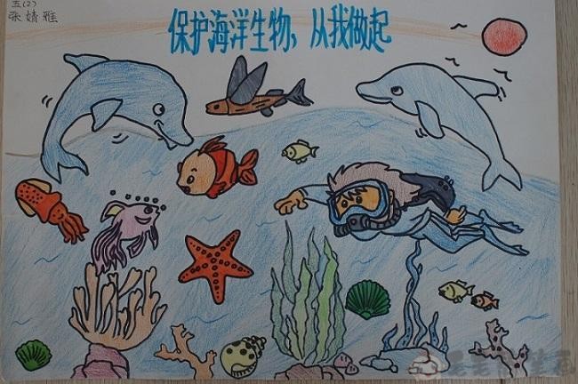 生物多样性主题儿童画图片 - 毛毛简笔画