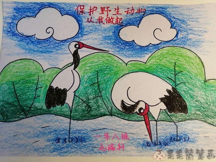 保护动物儿童绘画一等奖