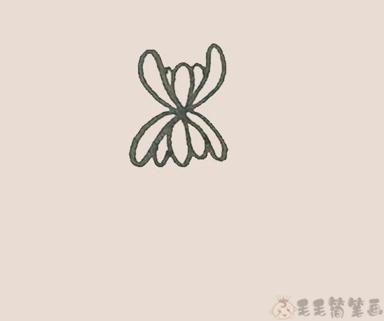 菊花儿童简笔画步骤3