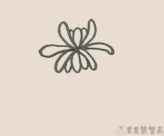 菊花儿童简笔画步骤4