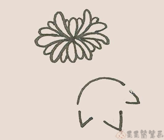 菊花儿童简笔画步骤6
