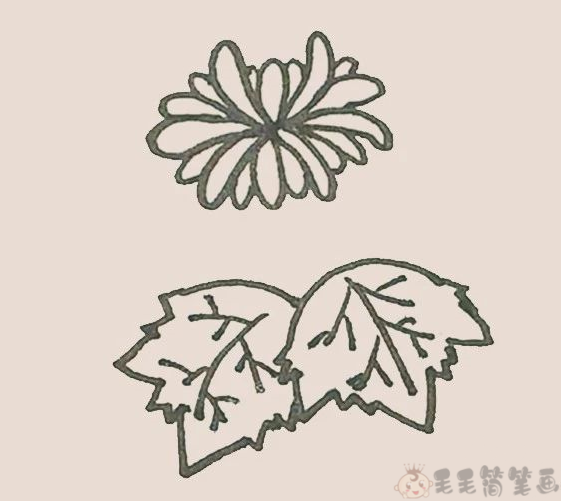 菊花儿童简笔画步骤8