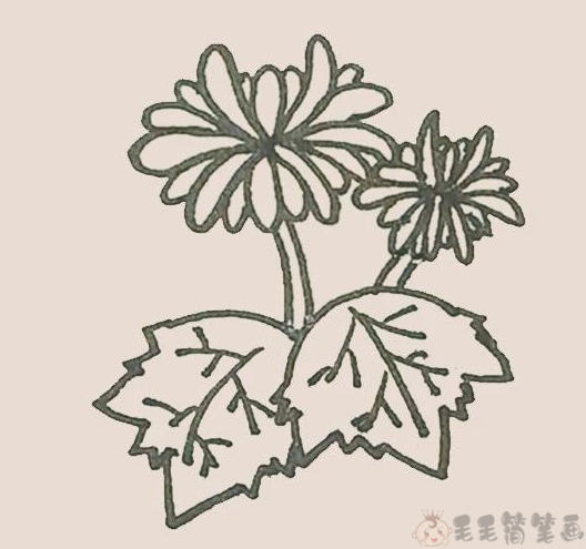 菊花儿童简笔画步骤9