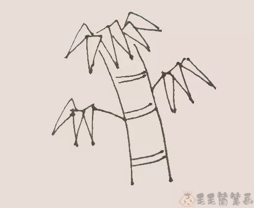 竹子图片简笔画4