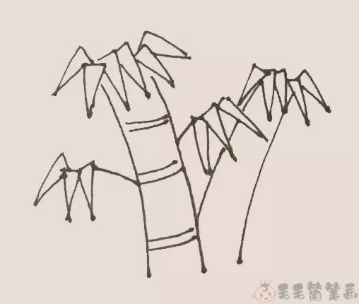 竹子图片简笔画5