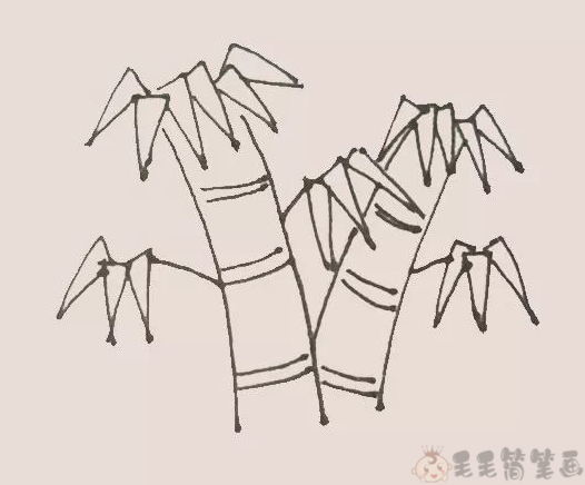 竹子图片简笔画6