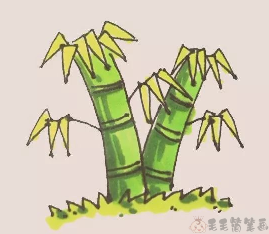竹子简笔画,竹子图片简笔画