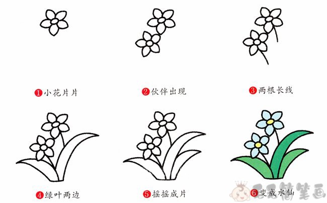 水仙花简图图片