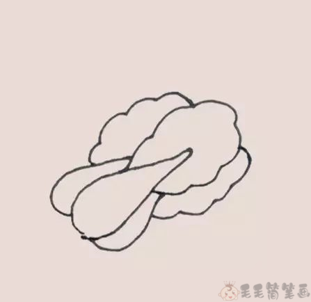 鸡毛菜的简笔画图片图片