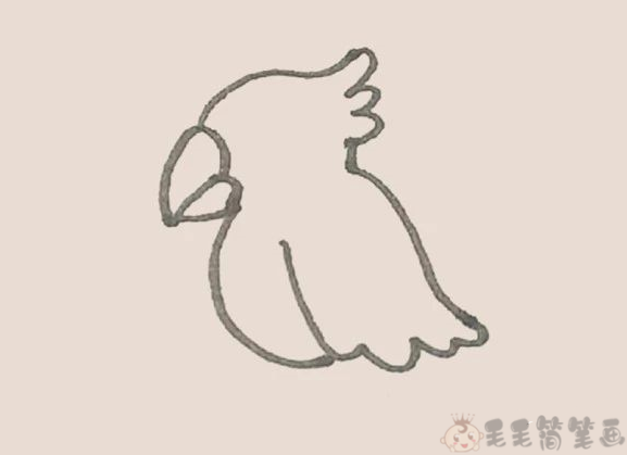 可爱漂亮的小鹦鹉彩色简笔画5