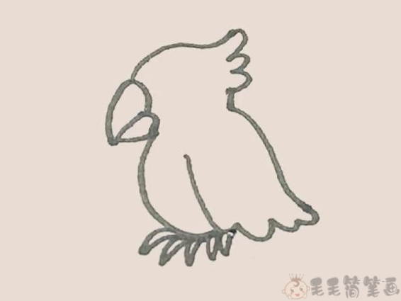可爱漂亮的小鹦鹉彩色简笔画6