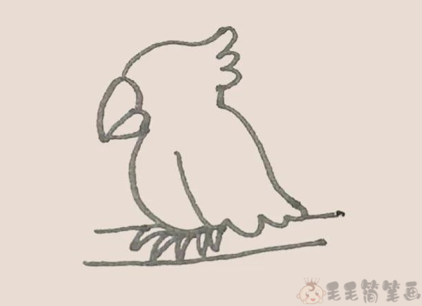 可爱漂亮的小鹦鹉彩色简笔画7