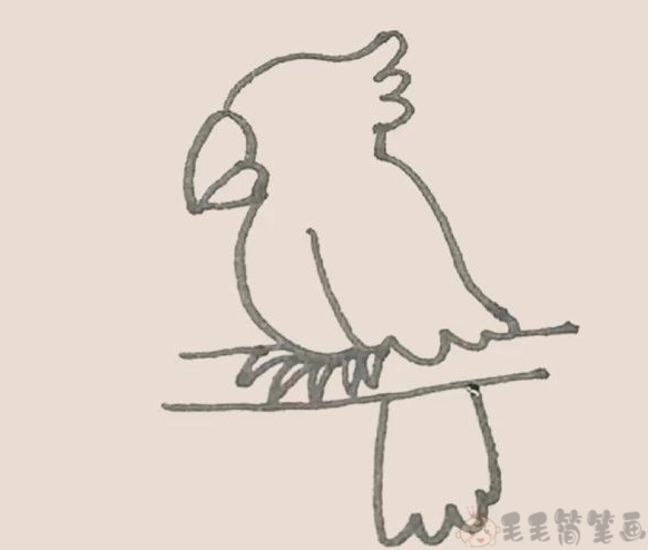 可爱漂亮的小鹦鹉彩色简笔画8