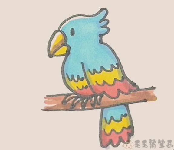 可爱漂亮的小鹦鹉彩色简笔画