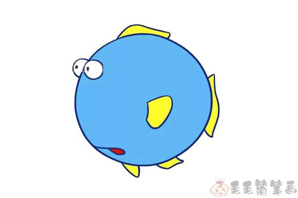 两张好看的彩色小鱼简笔画图片
