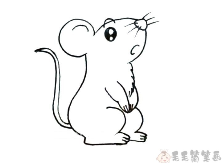 如何画老鼠简笔简单图片