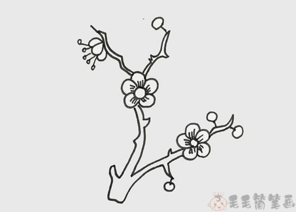 美艳漂亮的梅花简笔画步骤图 中级简笔画教程-第4张