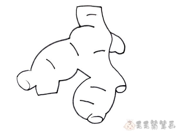 生姜简笔画