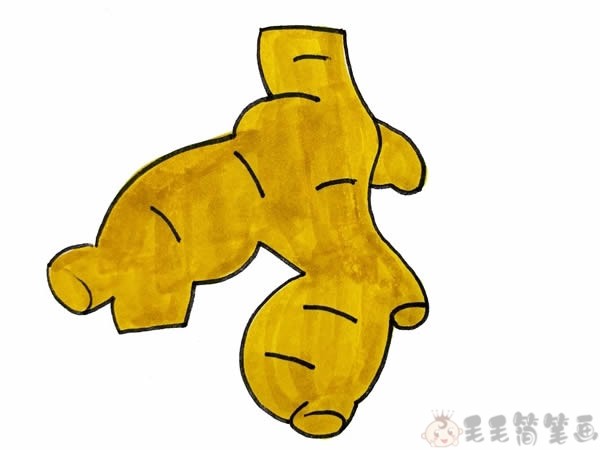 生姜简笔画,蔬菜生姜简笔画