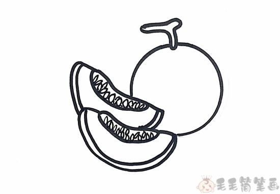 哈密瓜怎么画,水果哈密瓜简笔画 中级简笔画教程-第4张