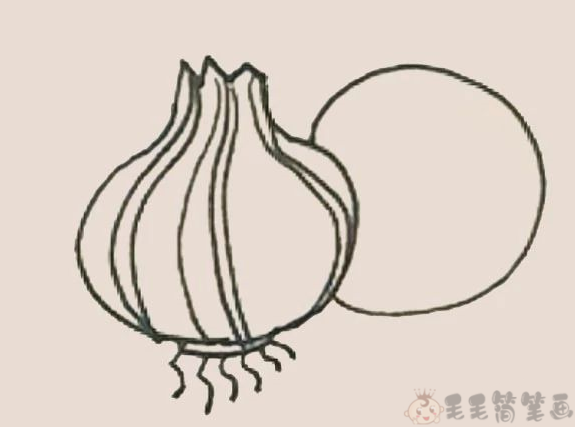 洋葱怎么画好看