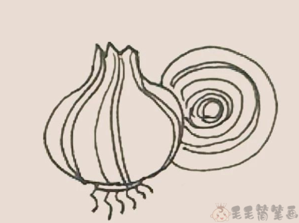 洋葱简笔画
