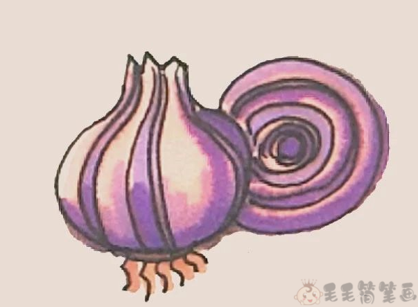 洋葱简笔画,洋葱怎么画好看