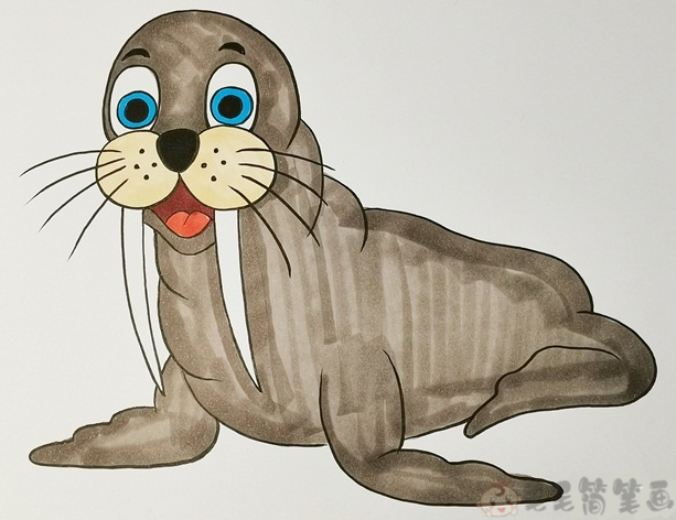 海狮简笔画 彩色图片