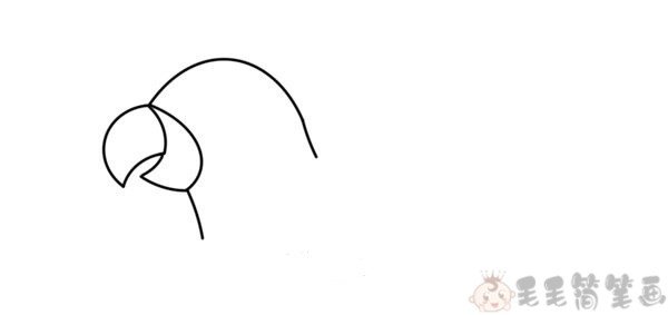 简笔画鹦鹉