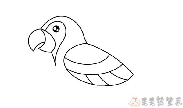 简笔画鹦鹉