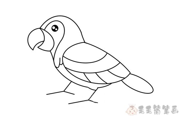 儿童绘画教程鹦鹉