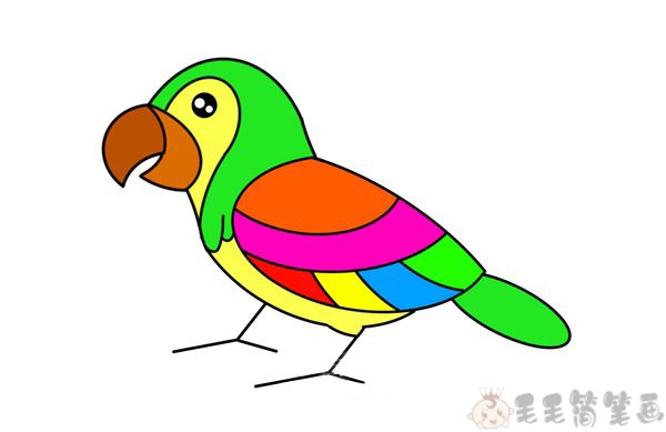 简笔画鹦鹉,儿童绘画教程鹦鹉