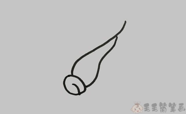 青菜简笔画图片1