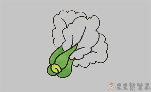 青菜简笔画图片4